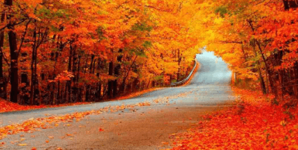 Fast-Track Your 5120X1440P 329 AUTUMN WALLPAPER