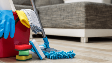 Pro Cleaning Services