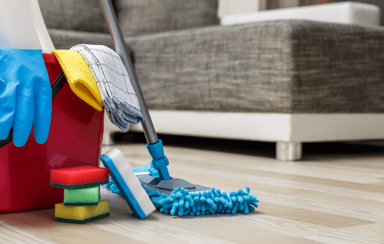 Pro Cleaning Services
