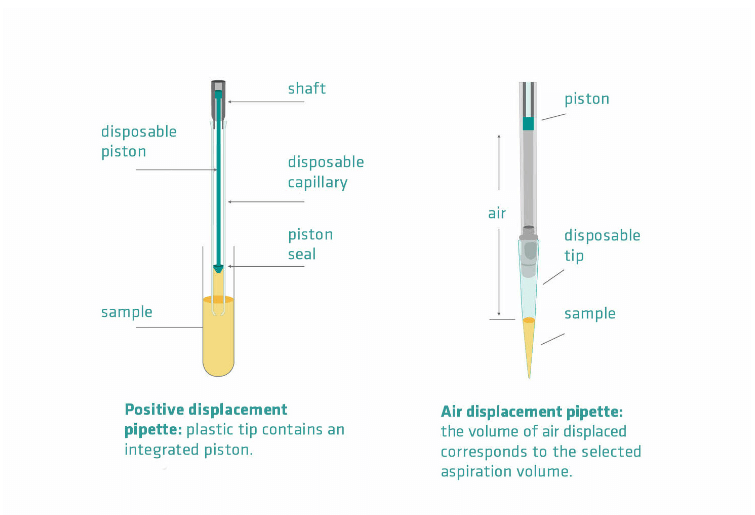Exploring the Role of Pipette Measurement in Quality Assurance Processes
