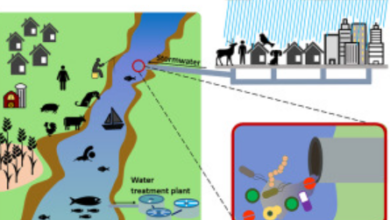 Advancing Water Quality and Environmental Care Through Microbial Respiration Analysis