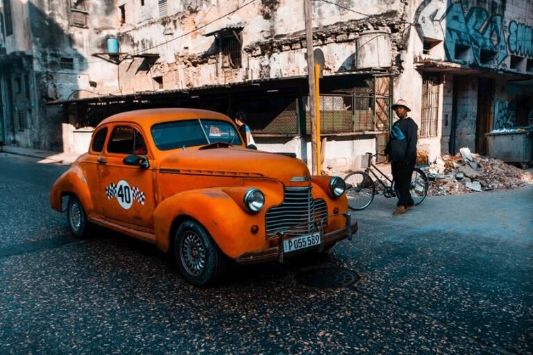 number s cultural evolution