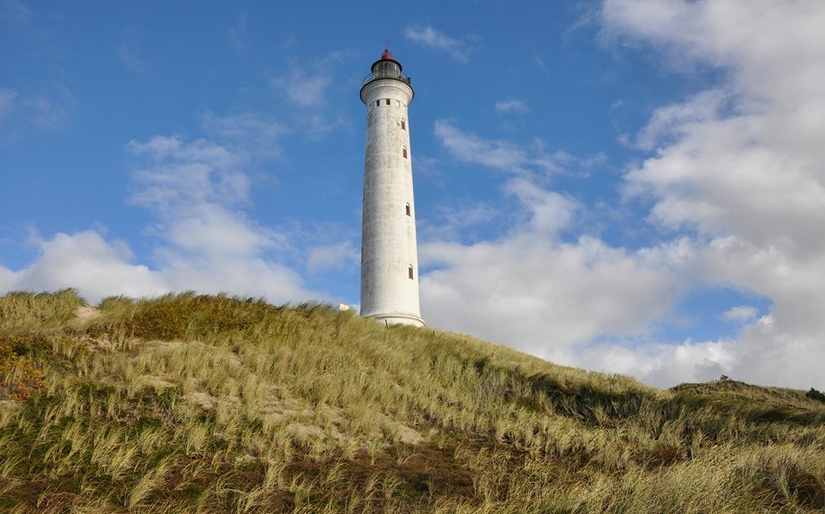 zealpozold safety usage guide