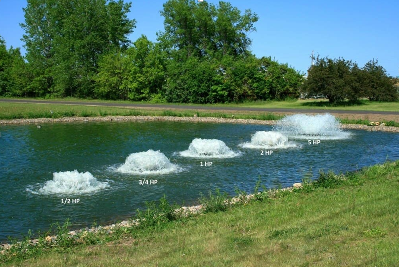 Avoid These Common Mistakes When Planning the features of Your Pond